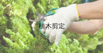 植木剪定